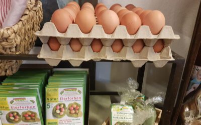 Eier färben leichtgemacht