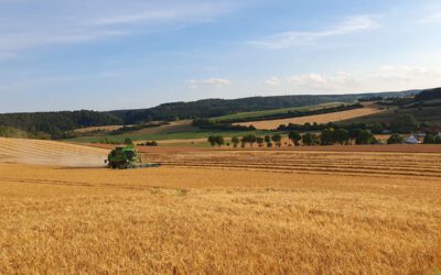 Hochwertige Dinkel- und Weizenmehle