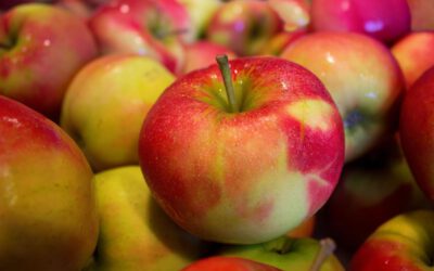 Frische Äpfel und Birnen: süß, aromatisch und saftig
